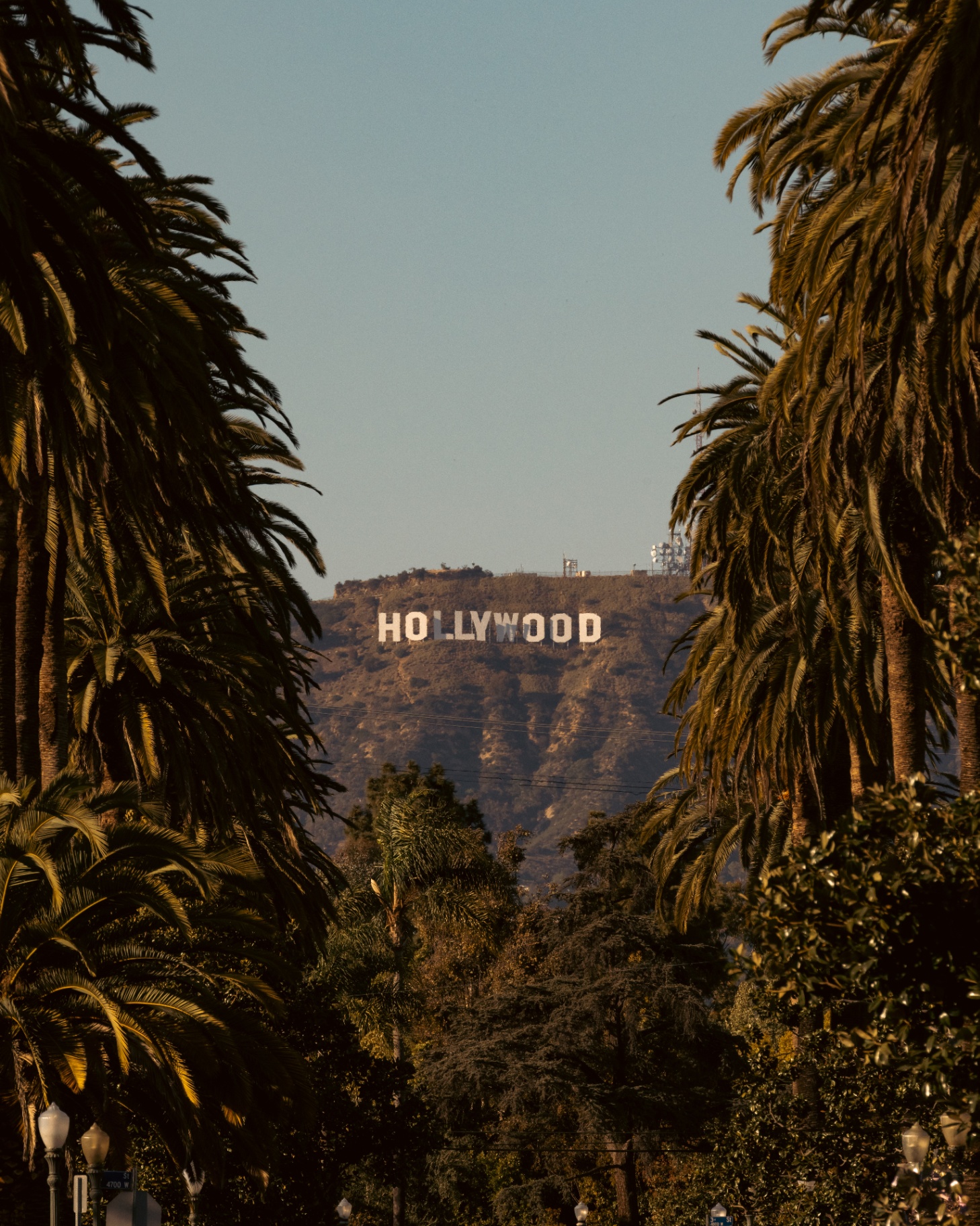 Palm-lined view of the Hollywood sign in Los Angeles